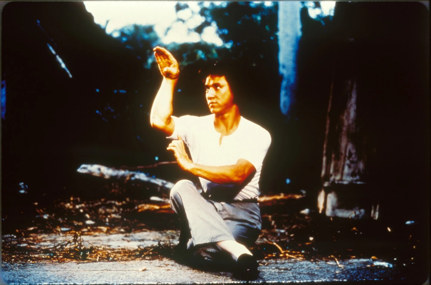 蛇形刁手剧照的剧照