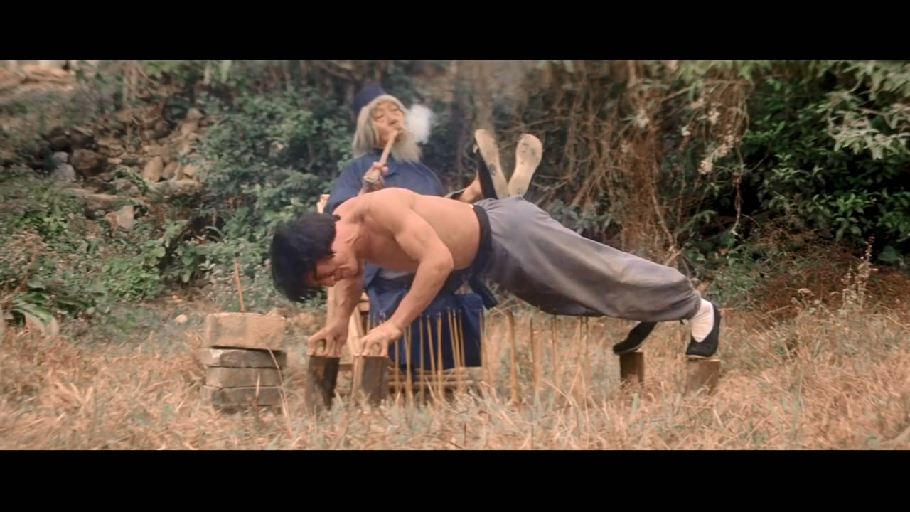 蛇形刁手剧照的剧照