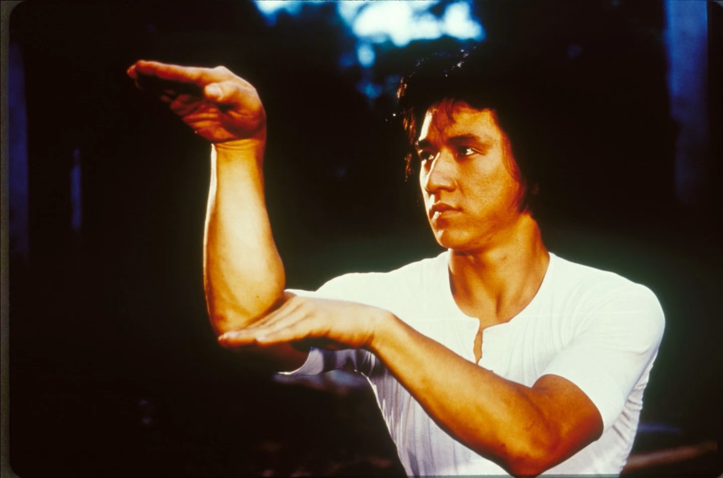 蛇形刁手剧照的剧照