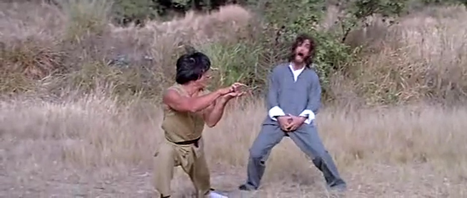 蛇形刁手剧照的剧照