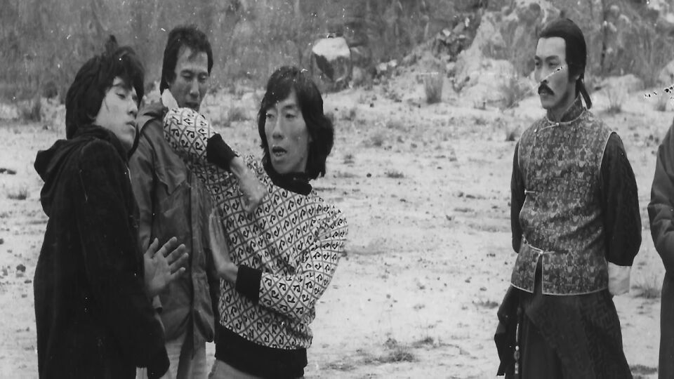 蛇形刁手剧照的剧照