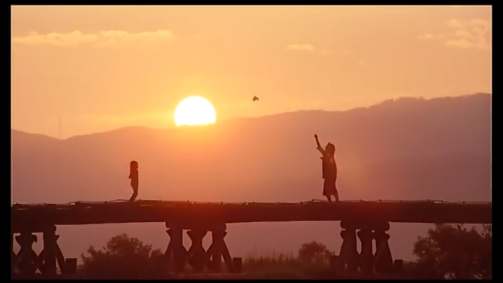 今天的典子剧照的剧照