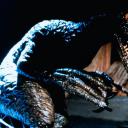 重返侏罗纪 第三部剧照