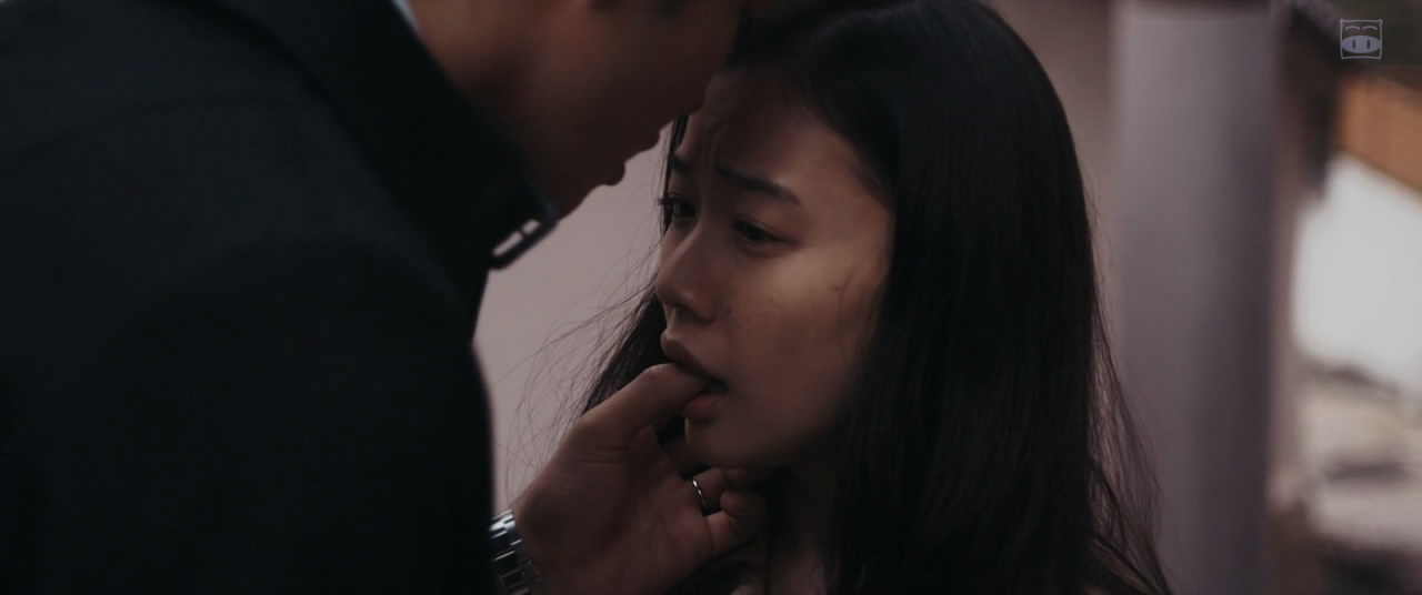 她不知道名字的那些鸟儿剧照的剧照