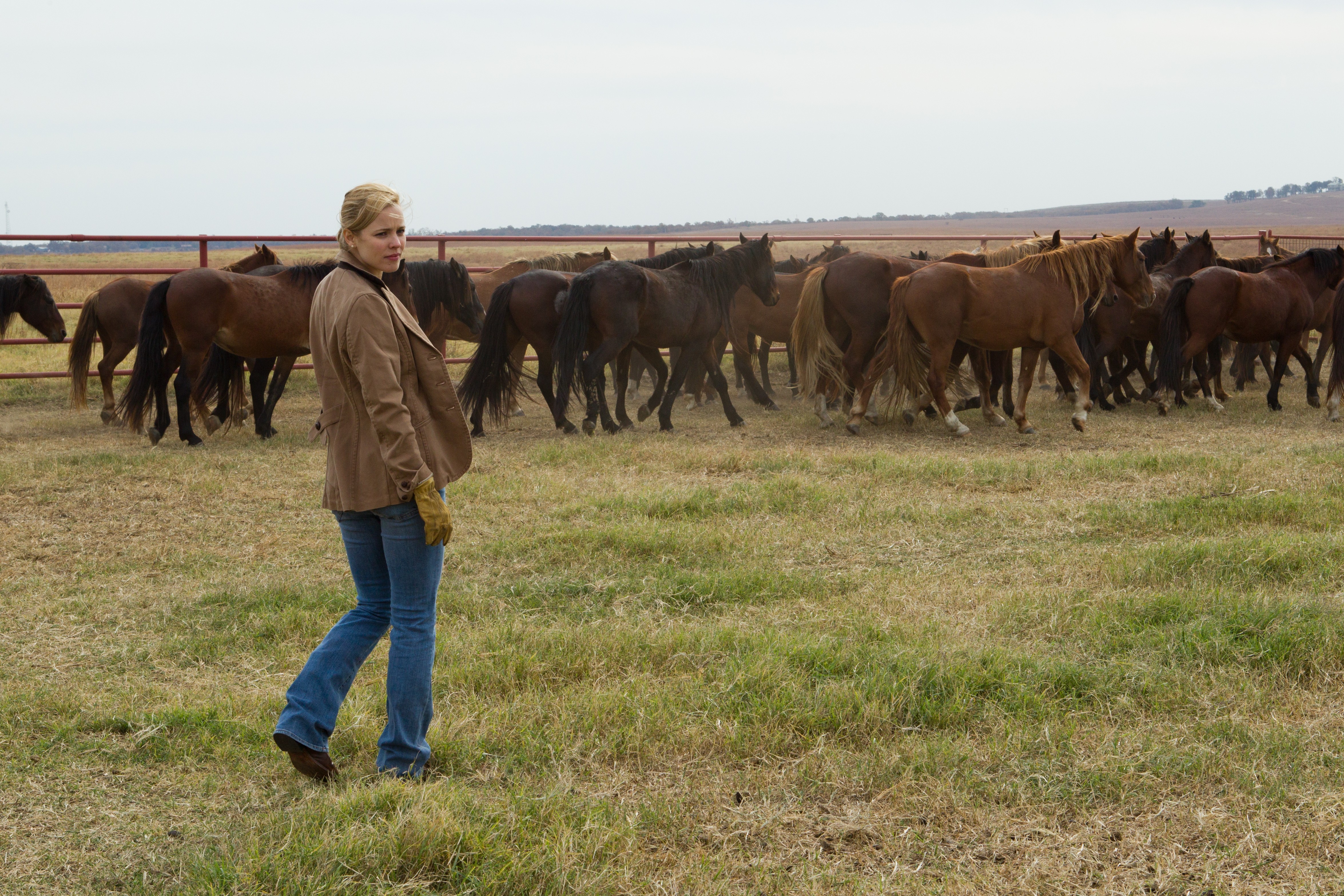 通往仙境剧照的剧照