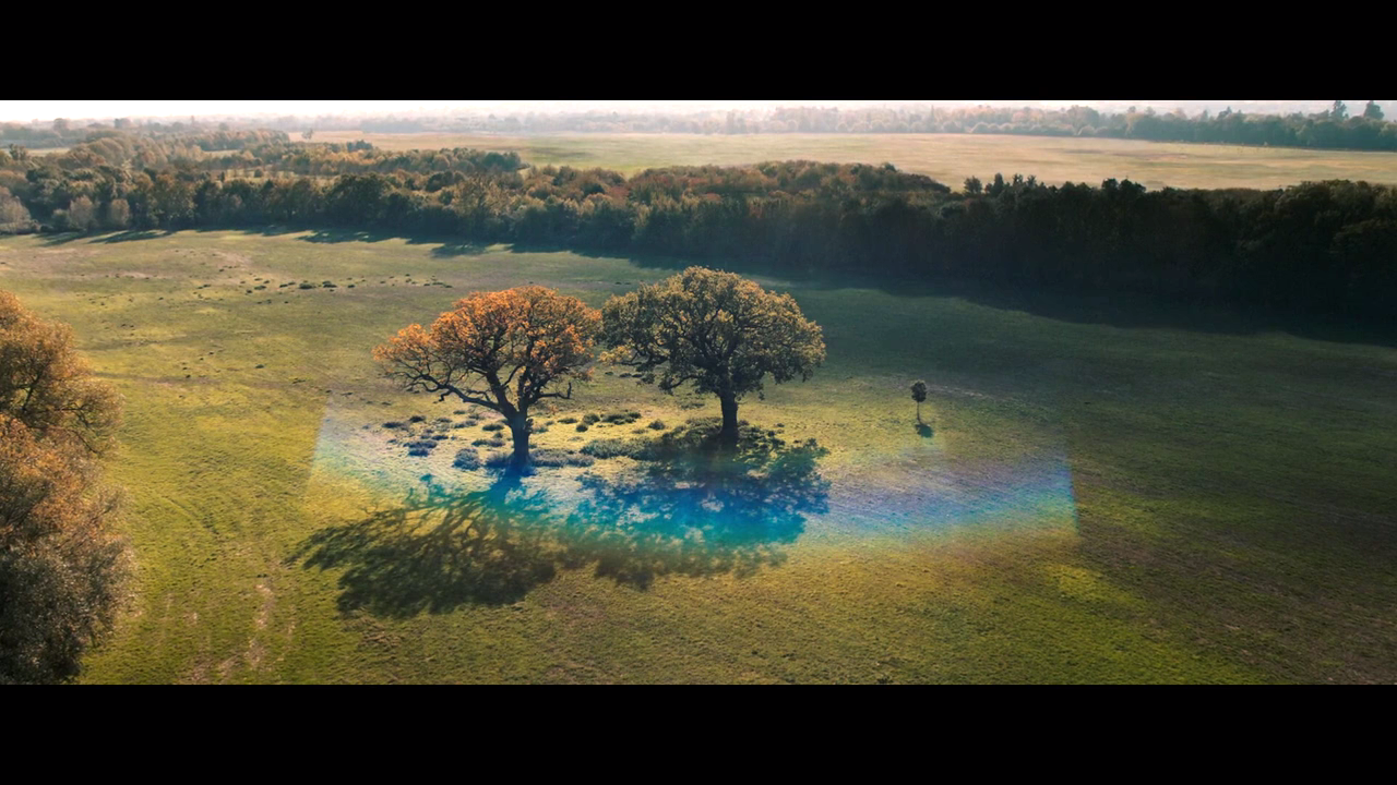 都是真的剧照的剧照