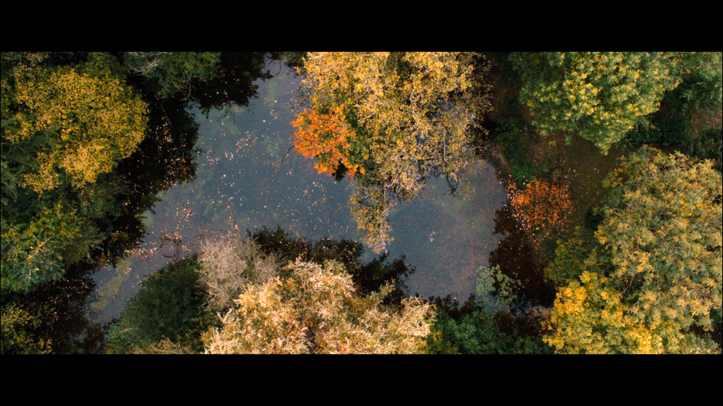 都是真的剧照的剧照