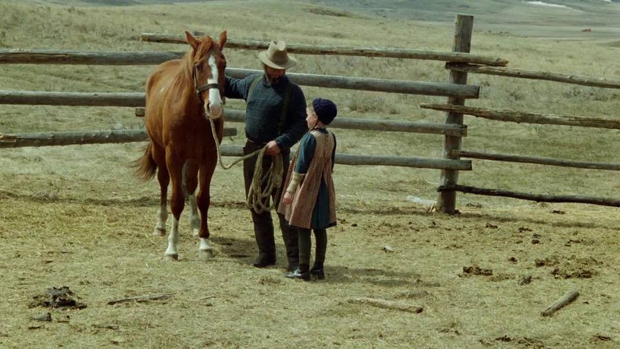 中心地带剧照的剧照