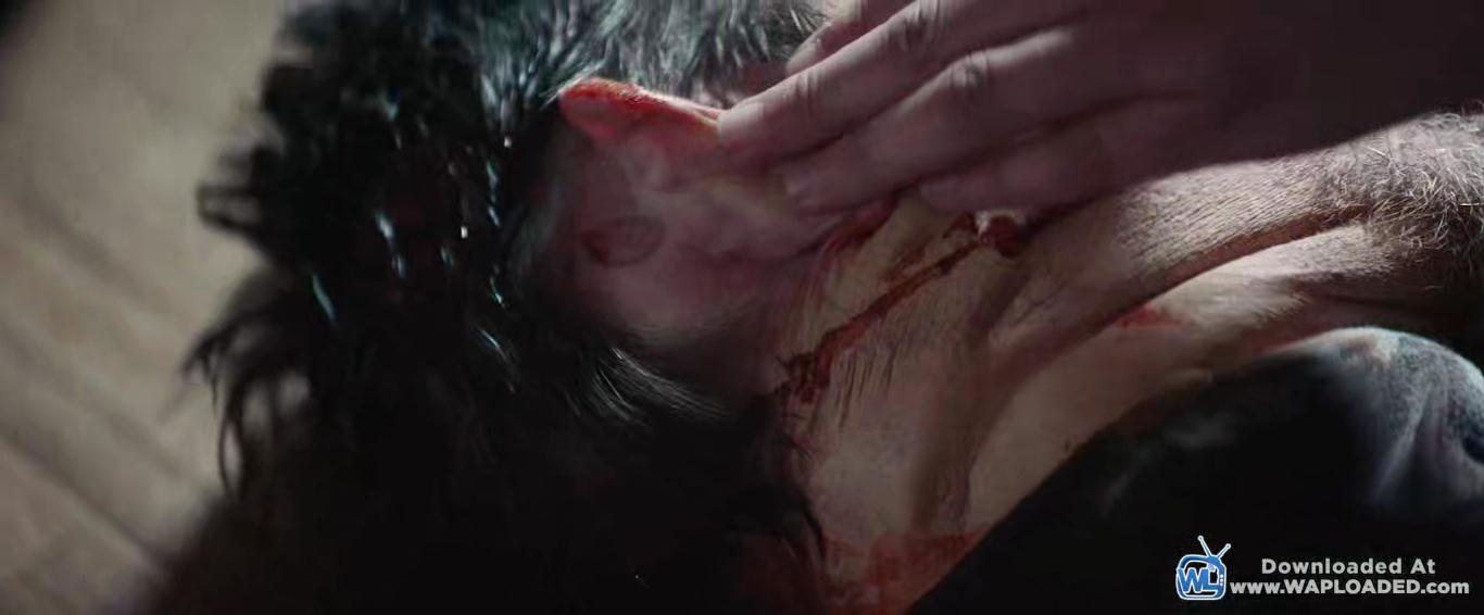 夺命公寓剧照的剧照