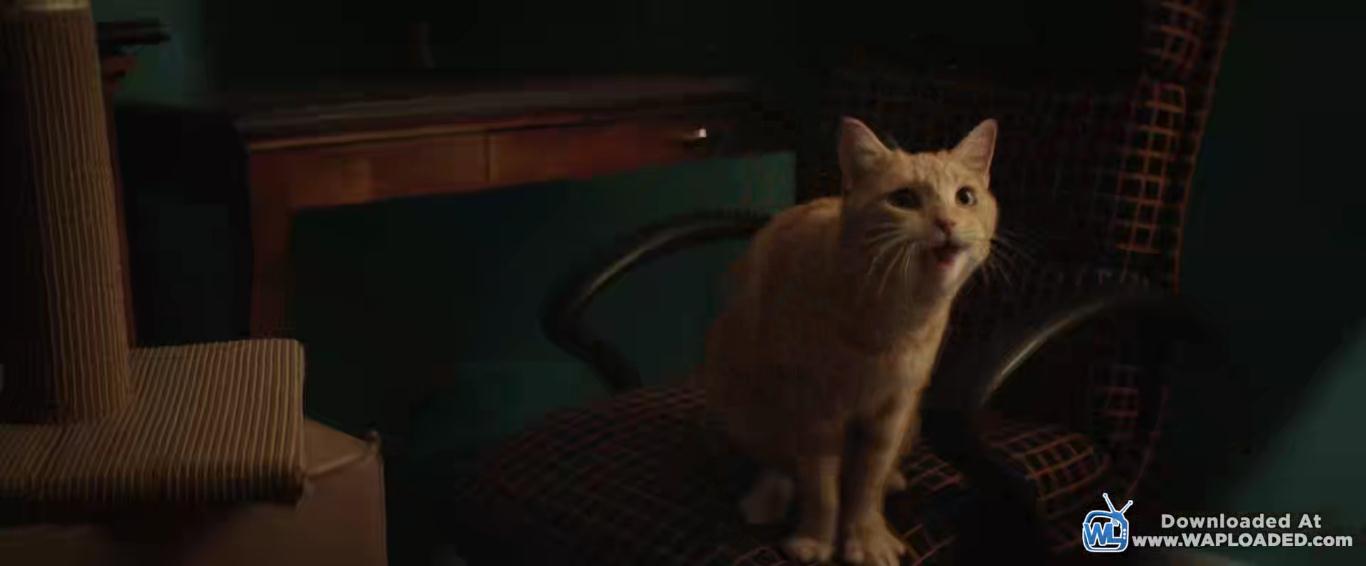 夺命公寓剧照的剧照