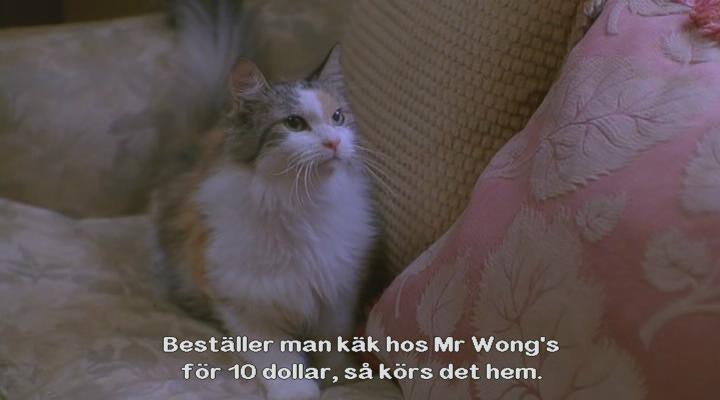 二见钟情剧照的剧照