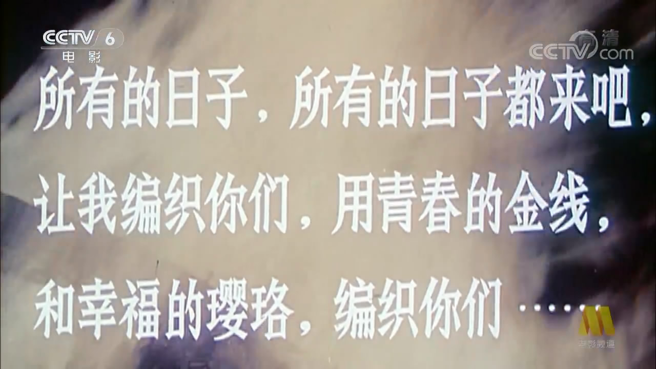 青春万岁剧照的剧照