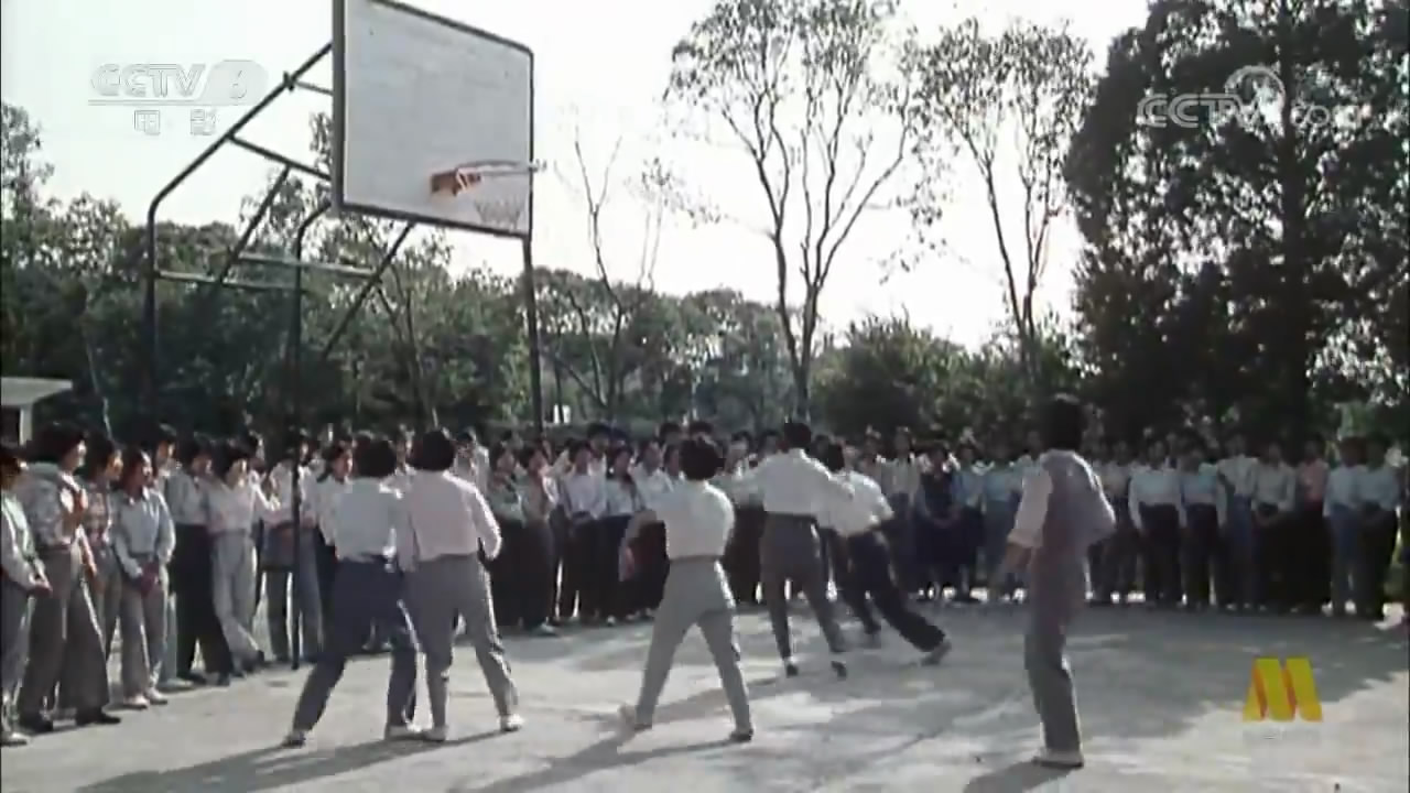 青春万岁剧照的剧照