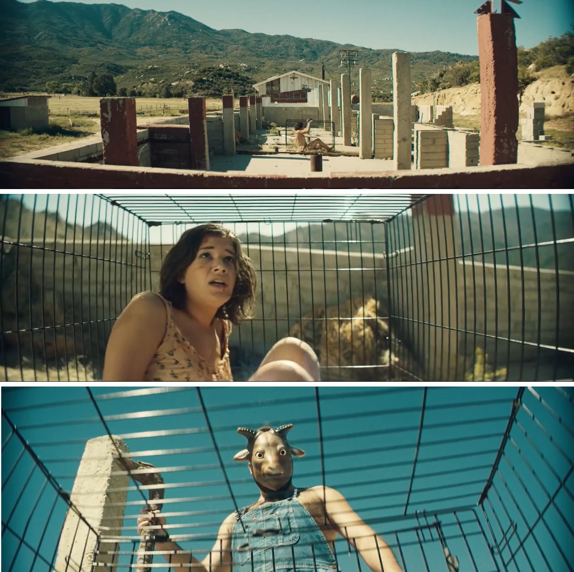 人肉农场剧照的剧照