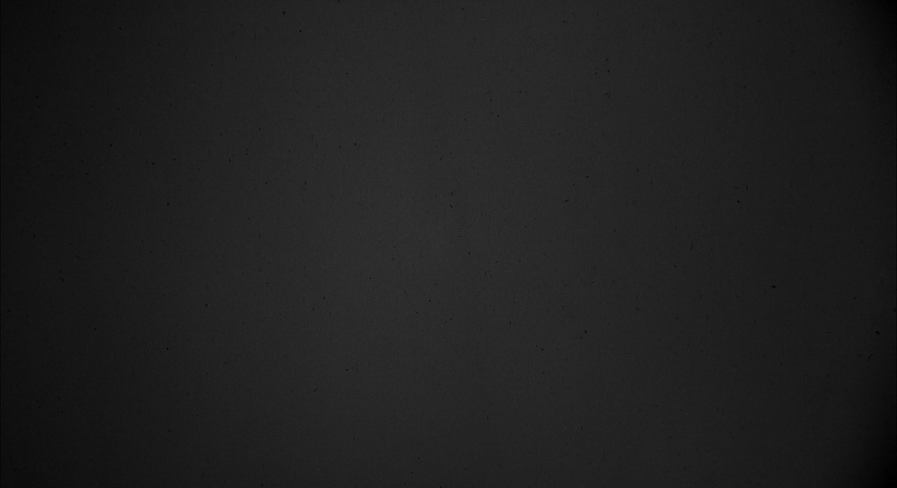 趣味游戏剧照的剧照