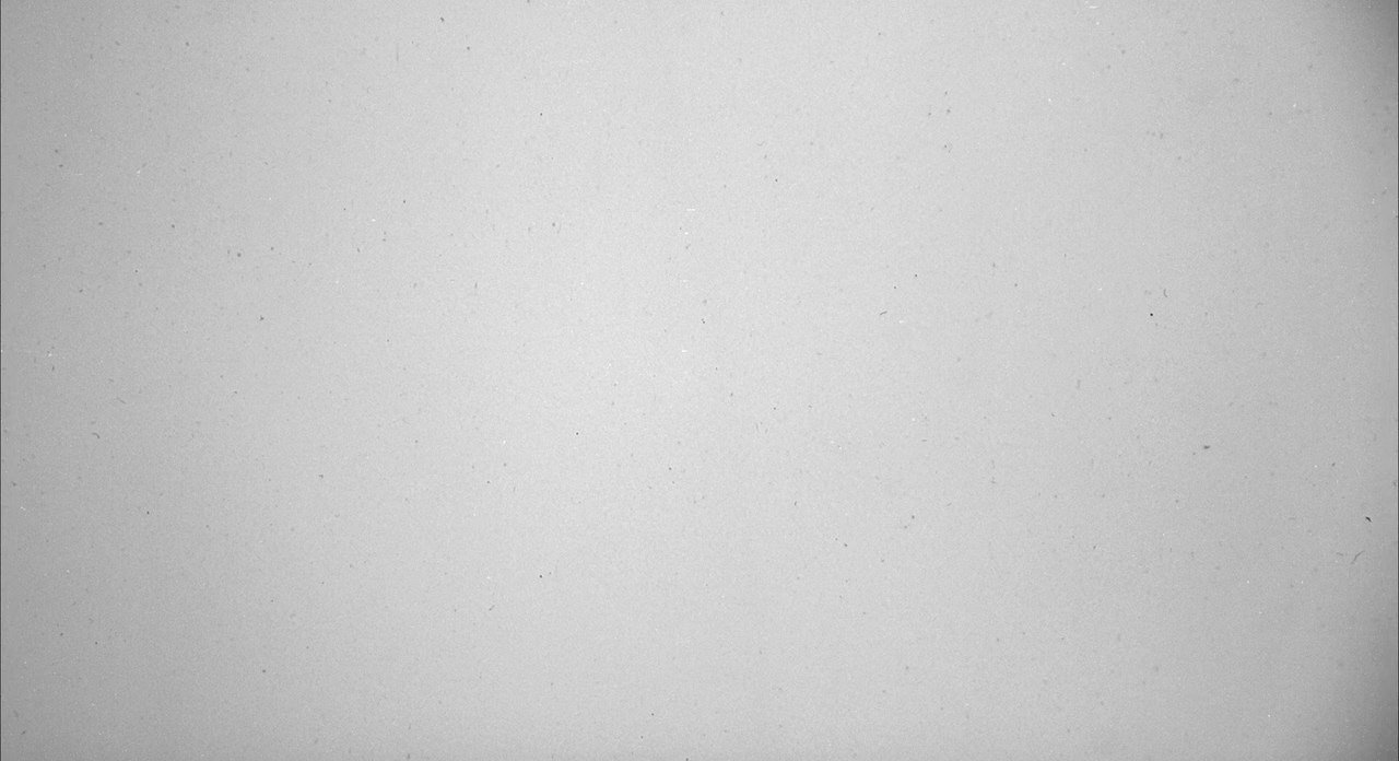 趣味游戏剧照的剧照