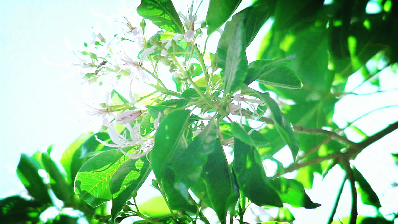 十一月的罪行剧照的剧照