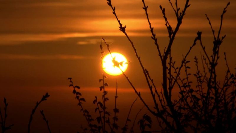 Caligula with Mary Beard剧照的剧照