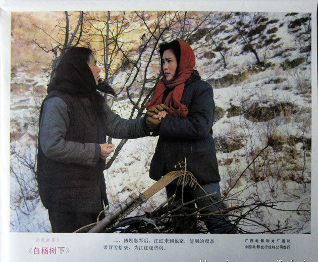 白杨树下剧照的剧照