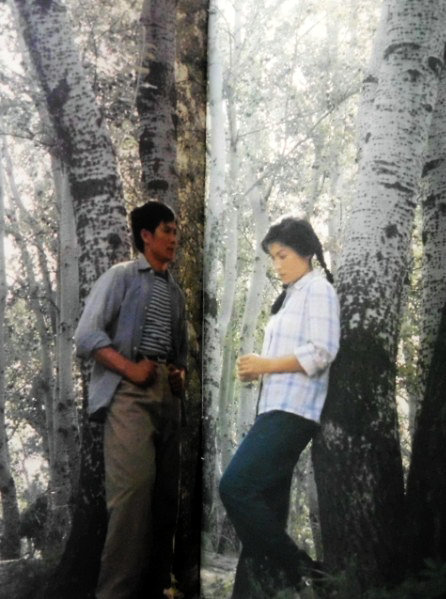 白杨树下剧照的剧照