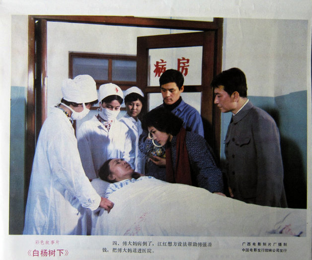 白杨树下剧照的剧照