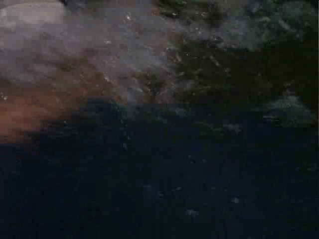 湿身危险剧照的剧照