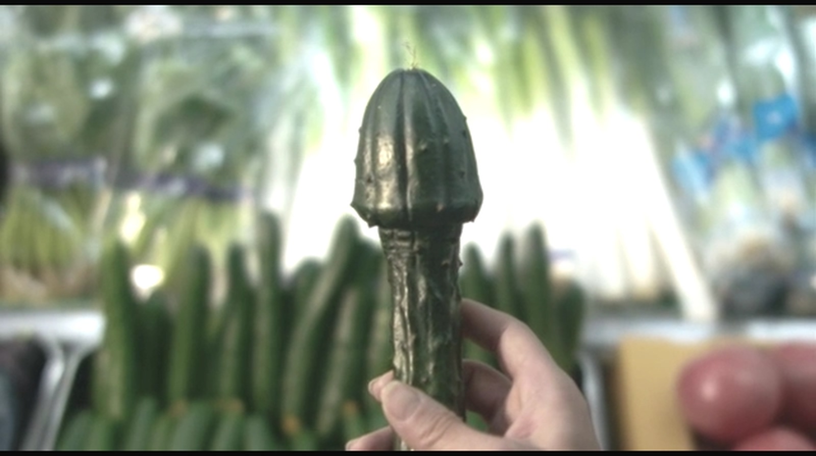 六宅一生剧照的剧照