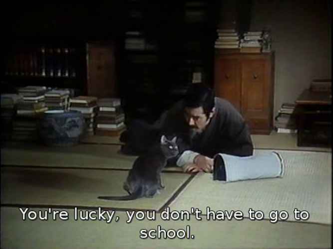 我是猫剧照的剧照