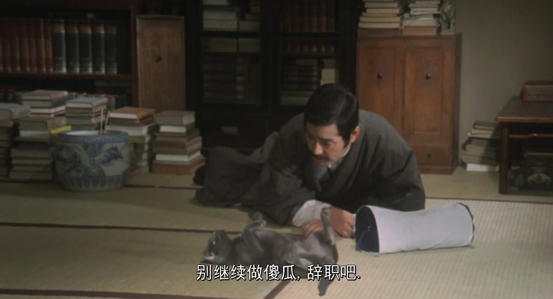 我是猫剧照的剧照