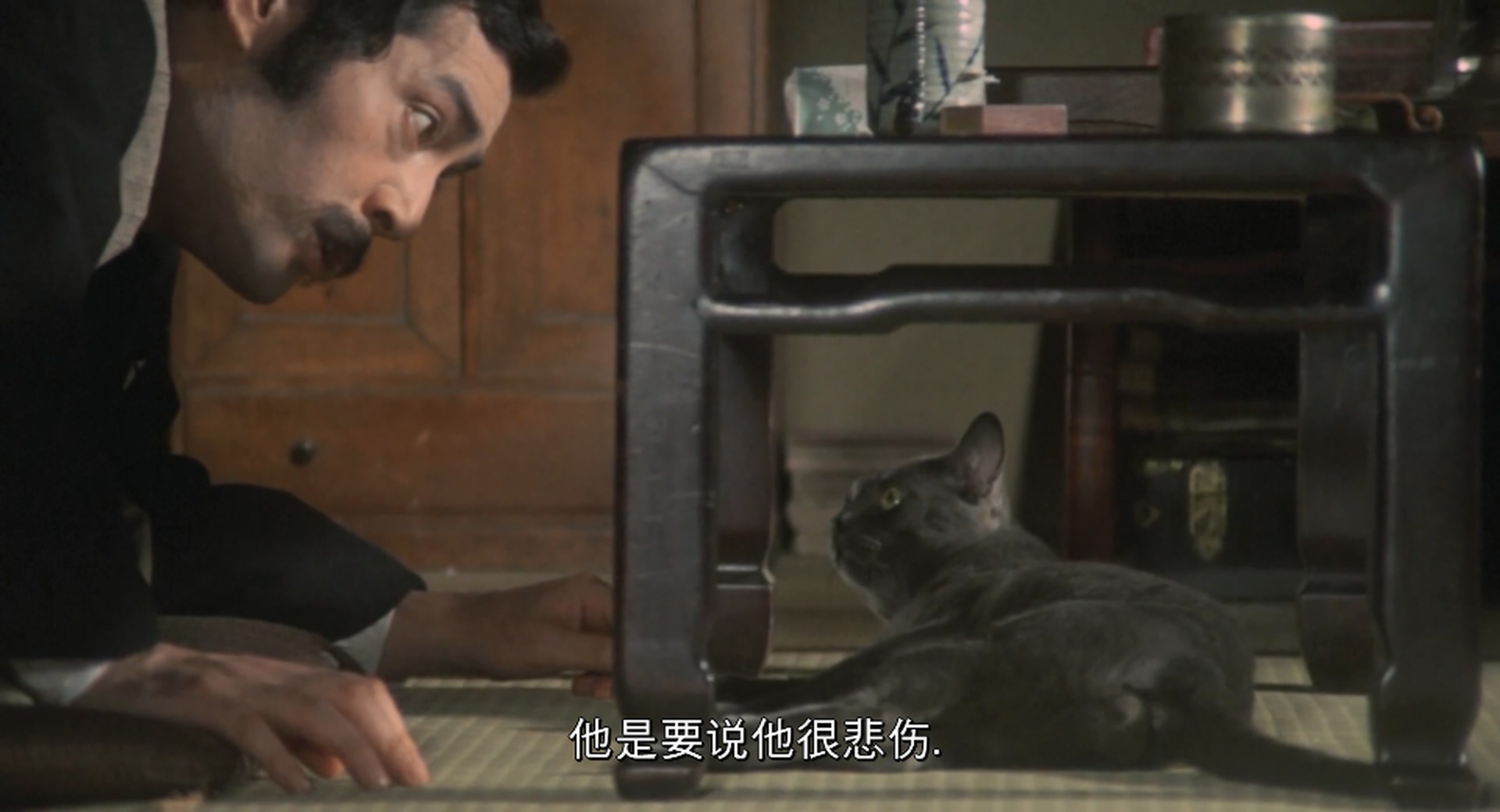 我是猫剧照的剧照