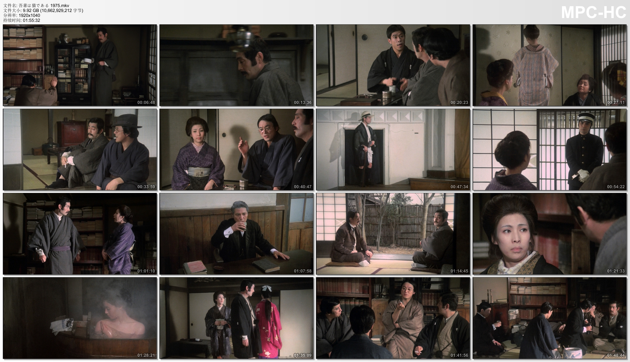 我是猫剧照的剧照