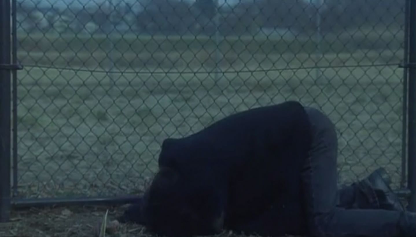 蜜糖与调味：风味绝佳剧照的剧照