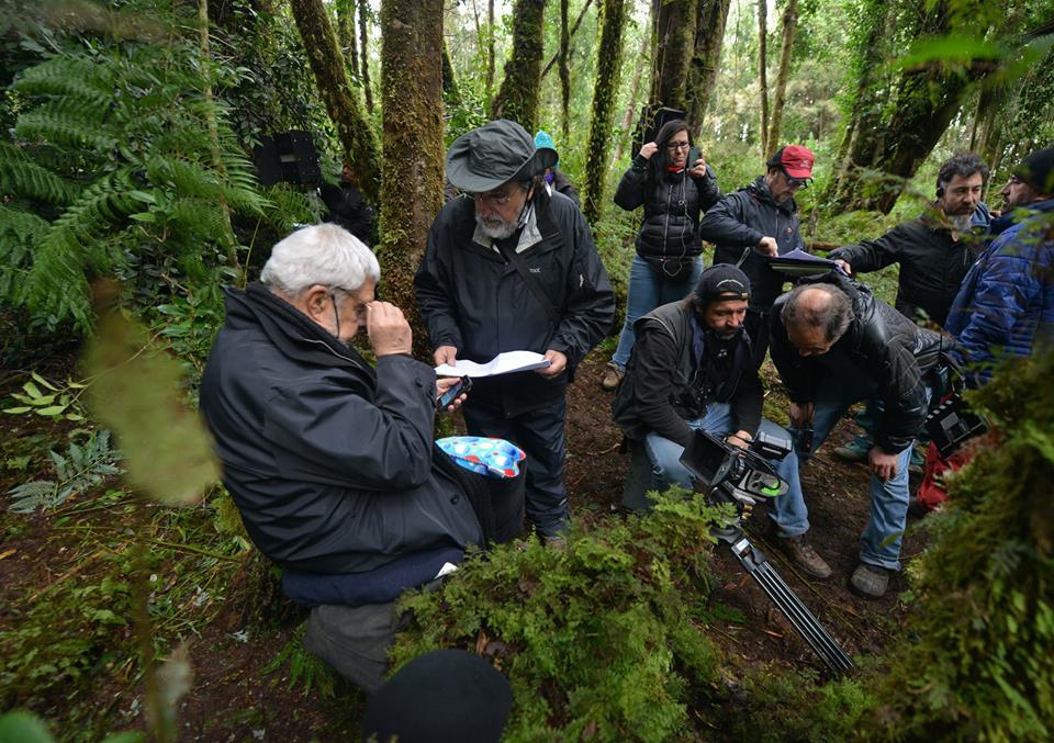 黎明忽至剧照的剧照