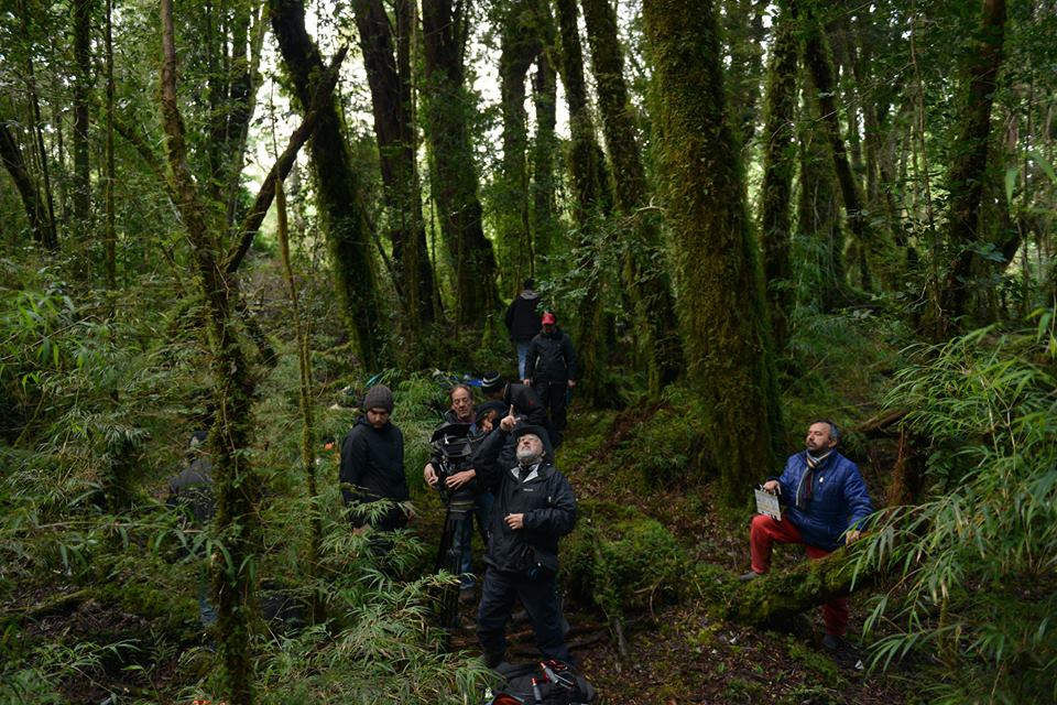 黎明忽至剧照的剧照