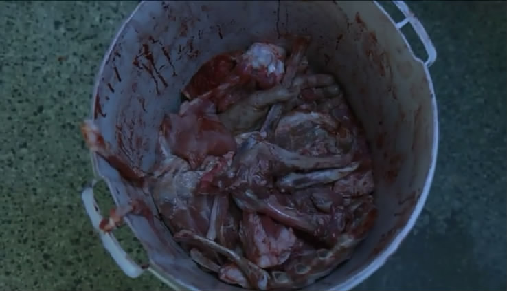 绿色屠夫剧照的剧照