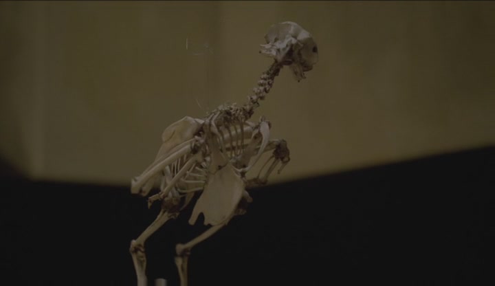 绿色屠夫剧照的剧照