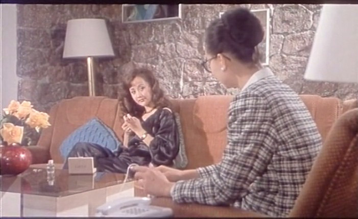 庭院深深剧照的剧照