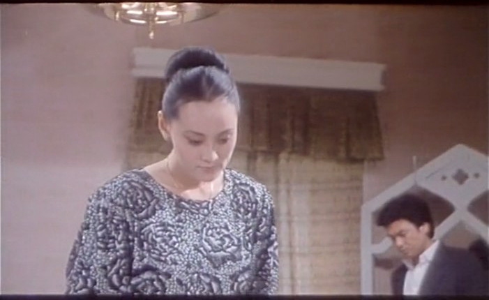 庭院深深剧照的剧照