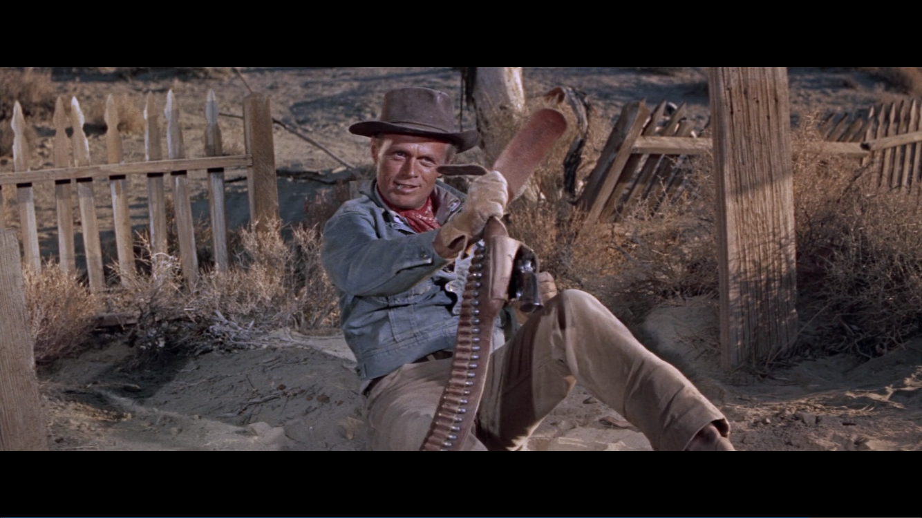 龙吟虎啸剧照的剧照