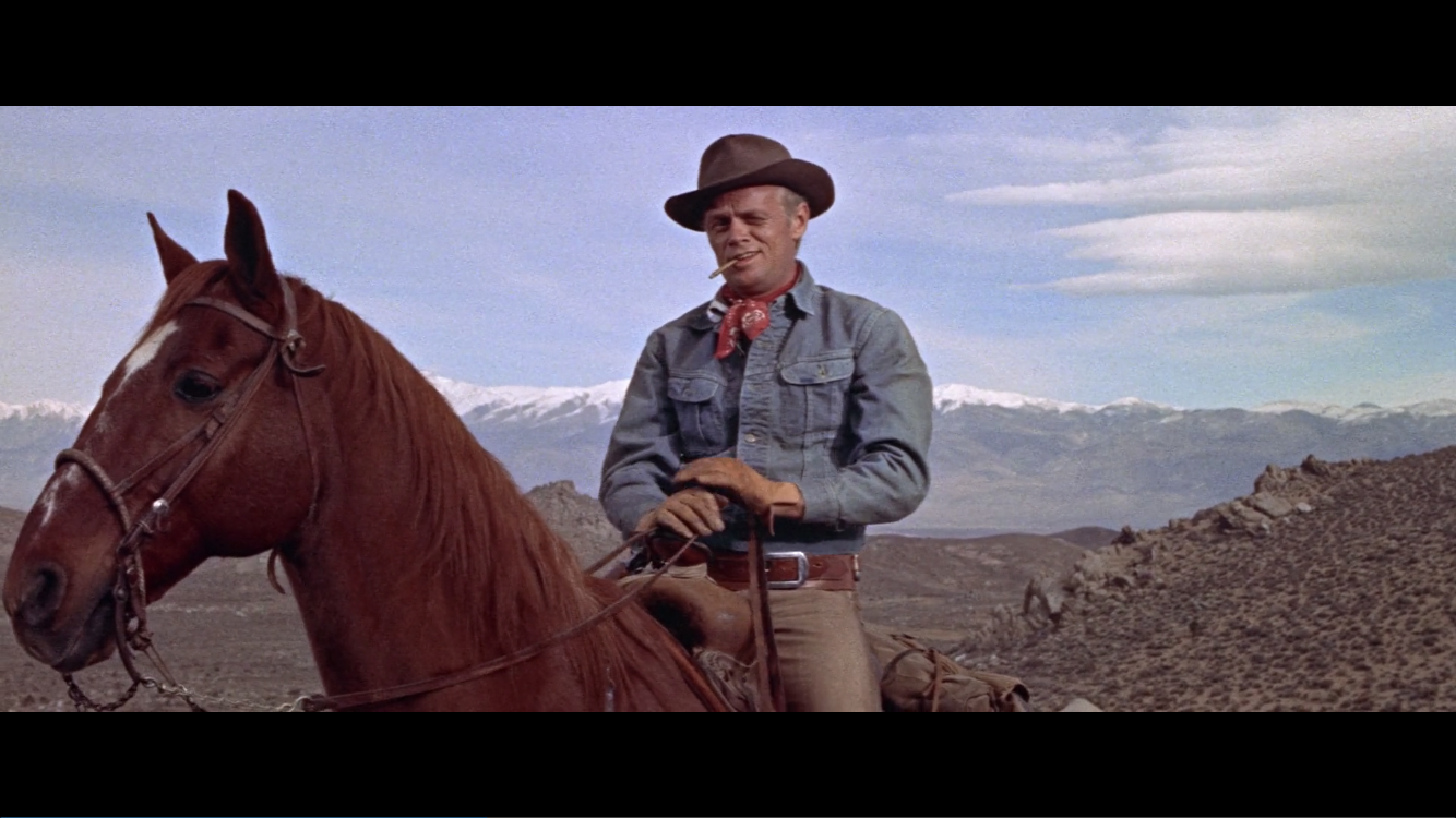 龙吟虎啸剧照的剧照