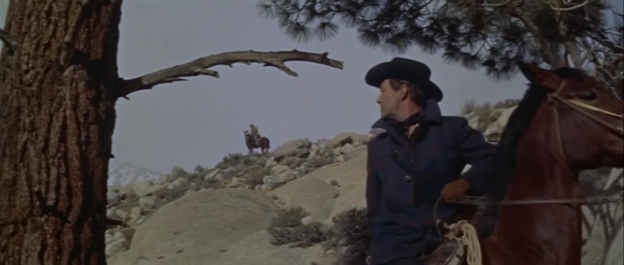 龙吟虎啸剧照的剧照