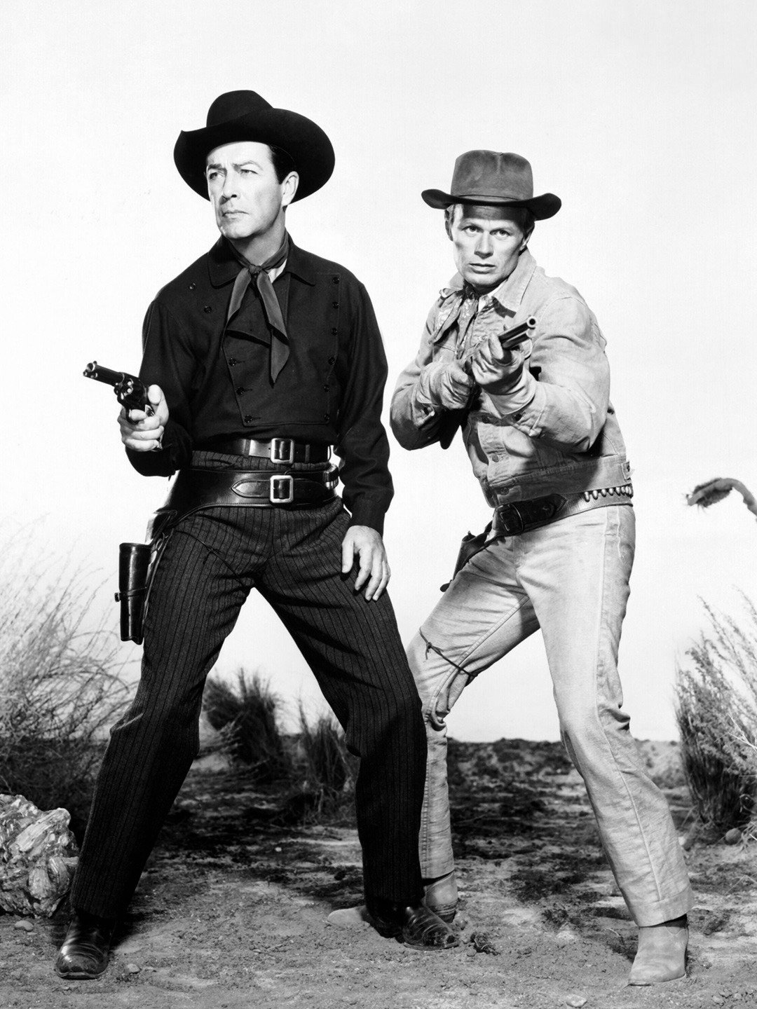 龙吟虎啸剧照的剧照