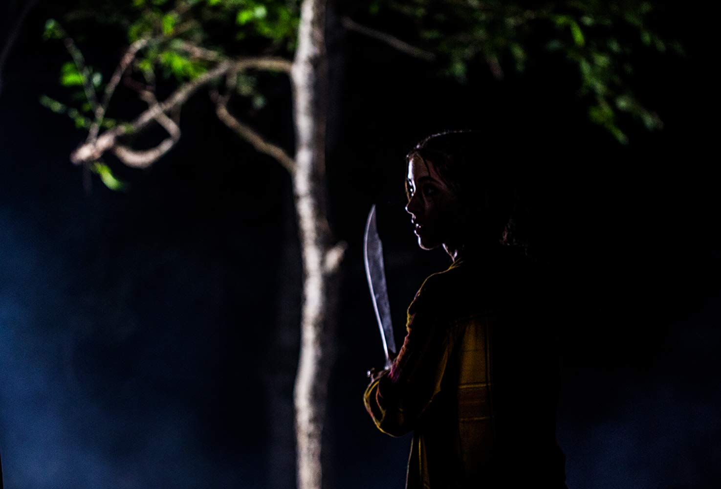 血宴剧照的剧照