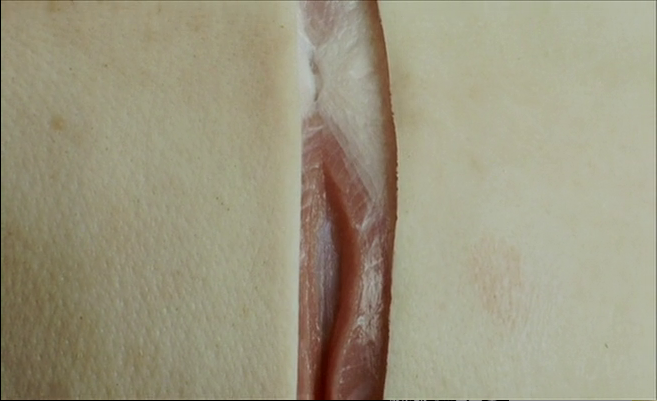 人体雕像剧照的剧照