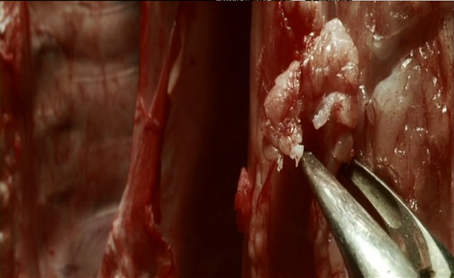 人体雕像剧照的剧照