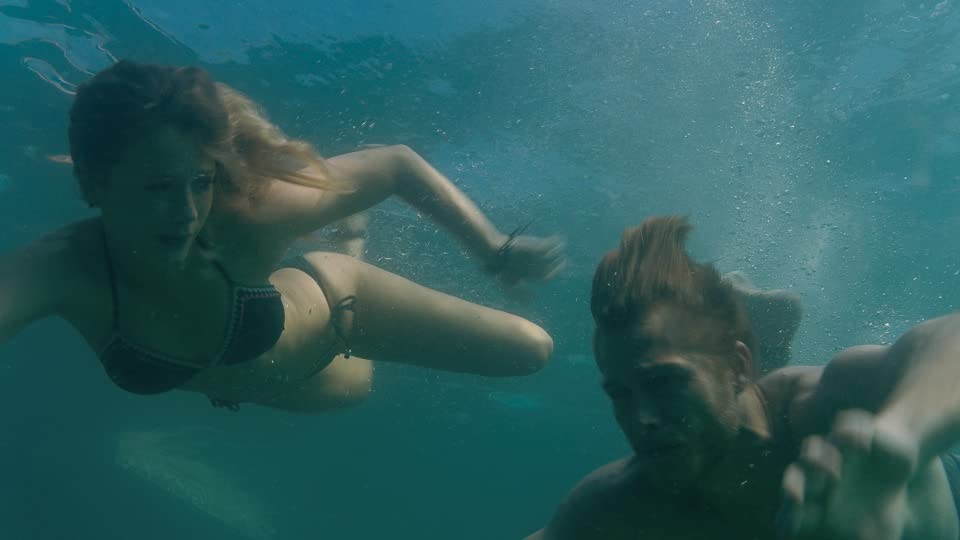 毒鲨剧照的剧照