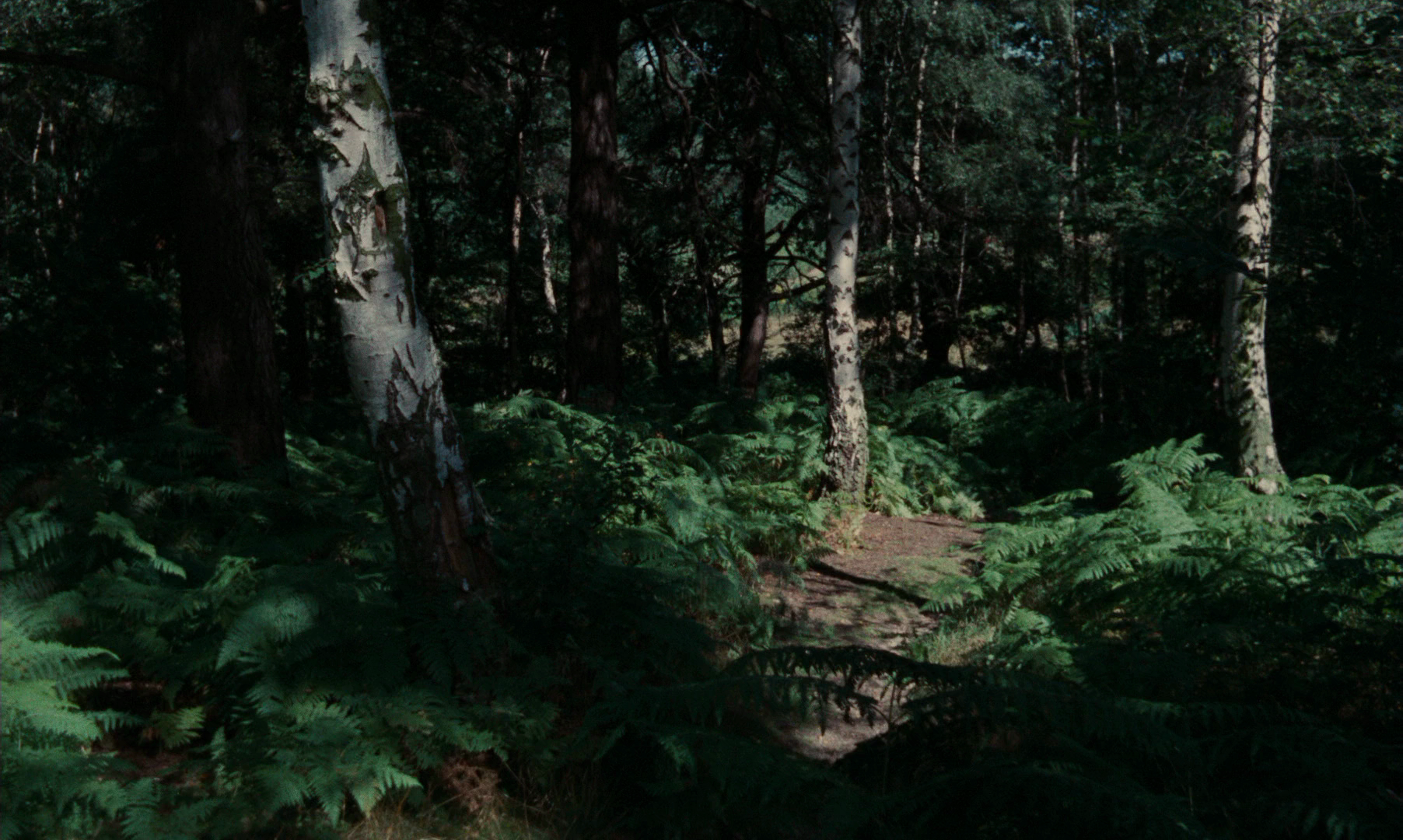 车祸剧照的剧照