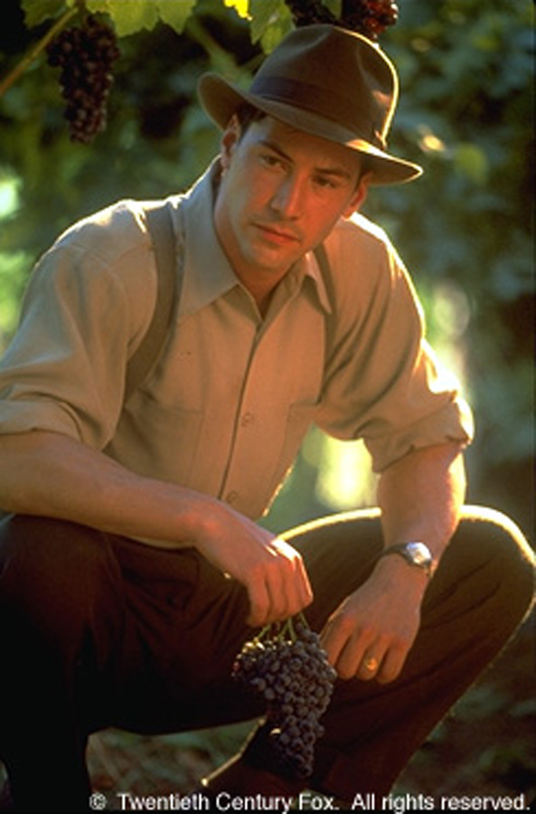 云中漫步剧照的剧照