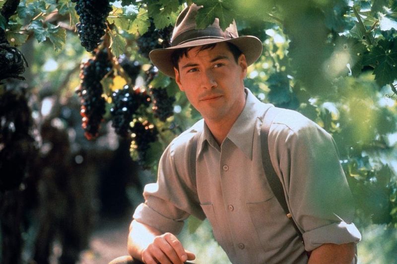 云中漫步剧照的剧照