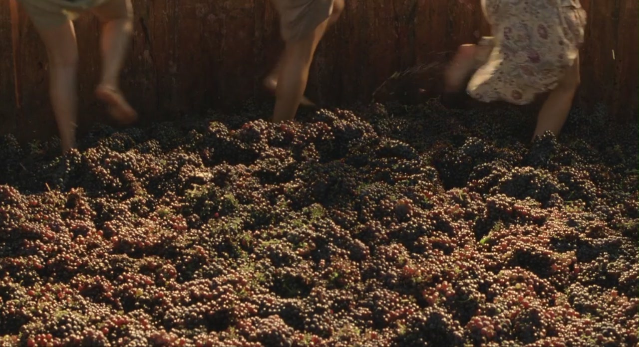 云中漫步剧照的剧照